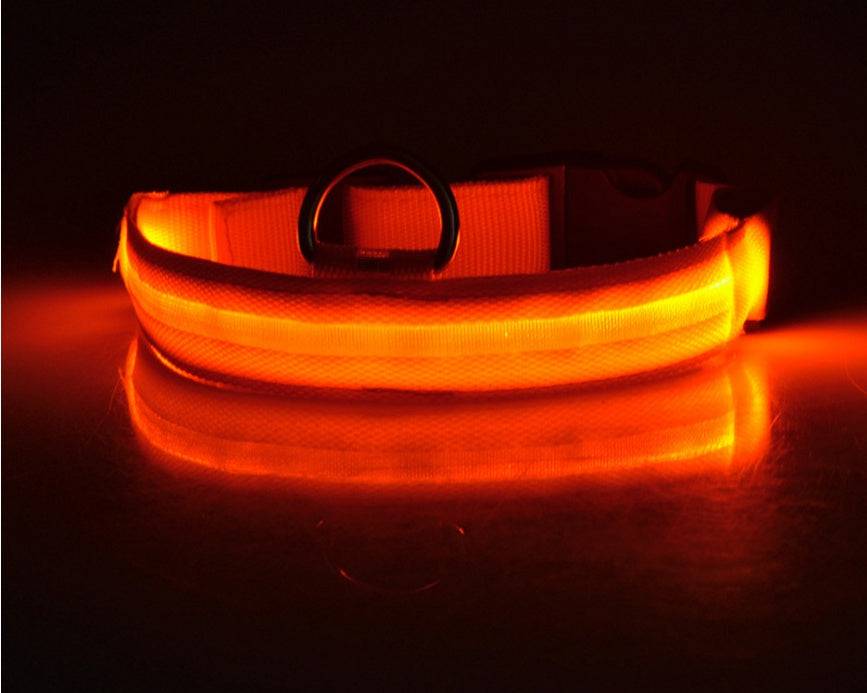 USB Rechargeable LED Pet Collar – Keep Your Pet Safe and Stylish at Night! - All Inclusive Family Treasures