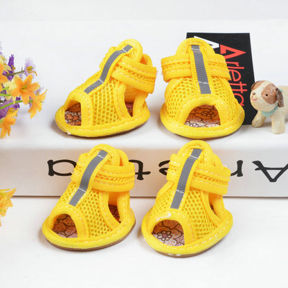 Bright and Breezy: Perfect Shoes for Furry Paws! - All Inclusive Family Treasures