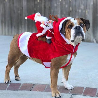 Santa Claus Riding Reindeer Dog Costume – Festive Holiday Outfit for Pets! - All Inclusive Family Treasures