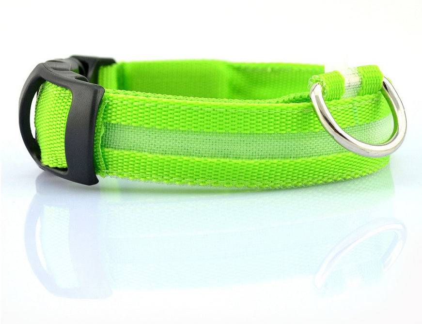 USB Rechargeable LED Pet Collar – Keep Your Pet Safe and Stylish at Night! - All Inclusive Family Treasures