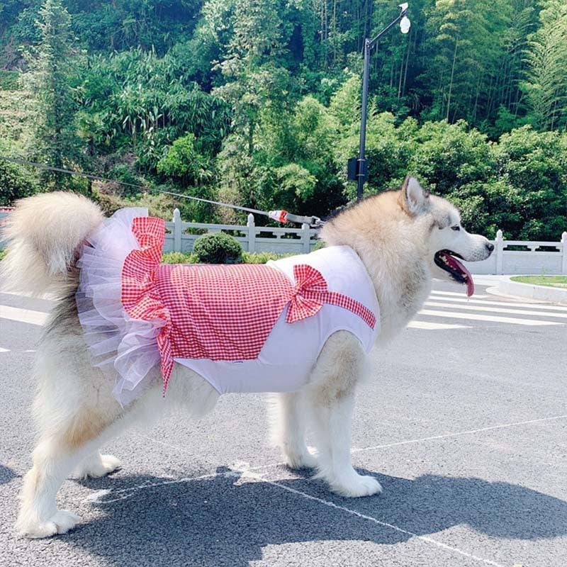 Princess Dog Costume for Large Breeds – Adorable Tutu Dress for Big Dogs! - All Inclusive Family Treasures