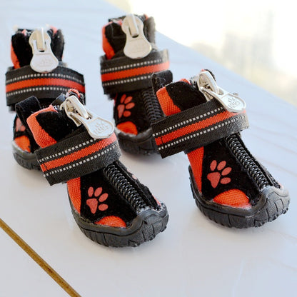 Paws-itively Perfect Footwear for Larger Dogs! - All Inclusive Family Treasures