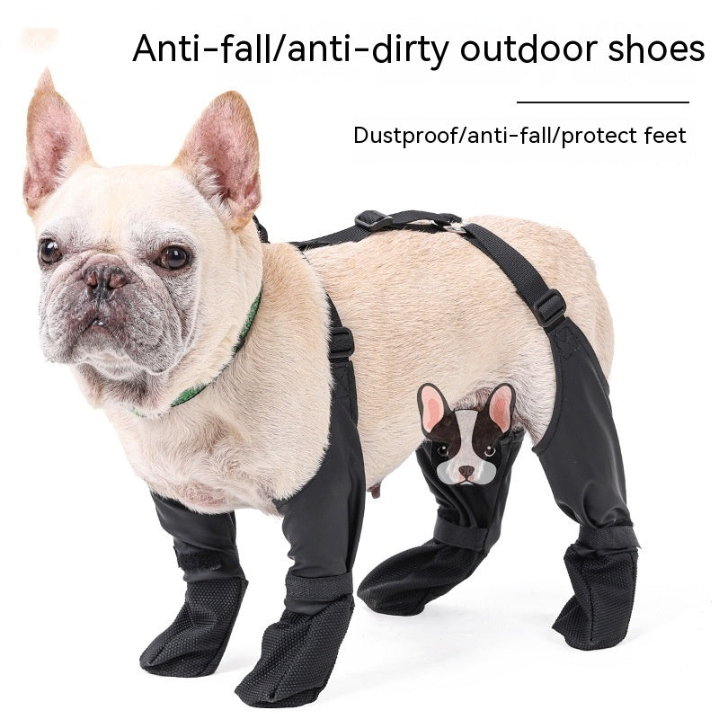 Keep Those Paws Dry and Protected in Style! - All Inclusive Family Treasures