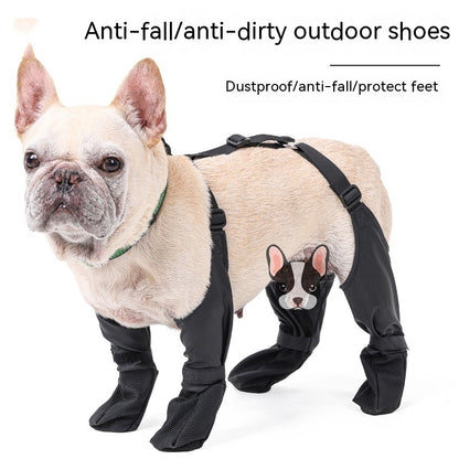 Keep Those Paws Dry and Protected in Style! - All Inclusive Family Treasures