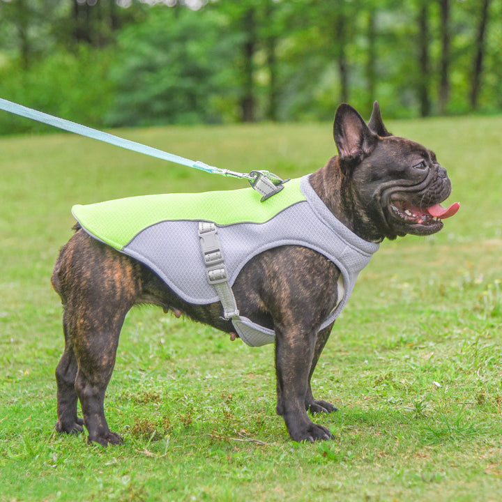 CoolPup Breathable Dog Cooling Vest for Summer Walks