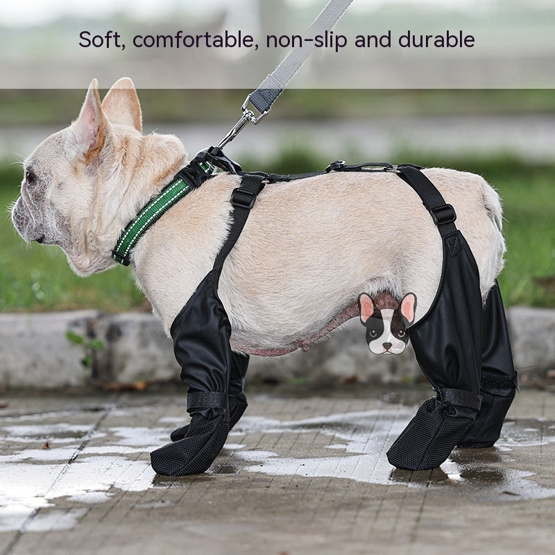 Keep Those Paws Dry and Protected in Style! - All Inclusive Family Treasures