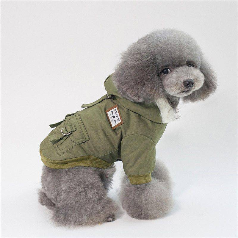 Stylish Winter Dog Parka with Faux Fur Hood – Warm & Trendy Dog Coat! - All Inclusive Family Treasures