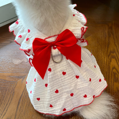 A Dress Fit for Paws and Applause! - All Inclusive Family Treasures