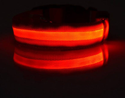 USB Rechargeable LED Pet Collar – Keep Your Pet Safe and Stylish at Night! - All Inclusive Family Treasures