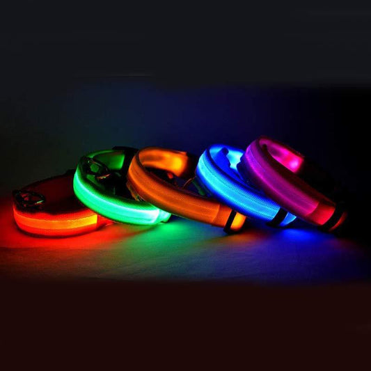 USB Rechargeable LED Pet Collar – Keep Your Pet Safe and Stylish at Night! - All Inclusive Family Treasures