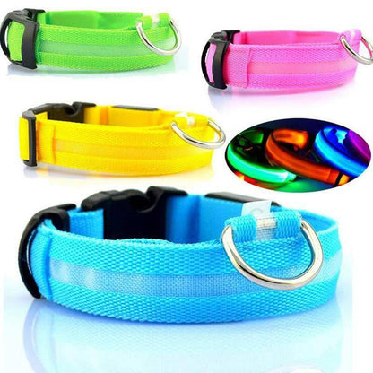 USB Rechargeable LED Pet Collar – Keep Your Pet Safe and Stylish at Night! - All Inclusive Family Treasures