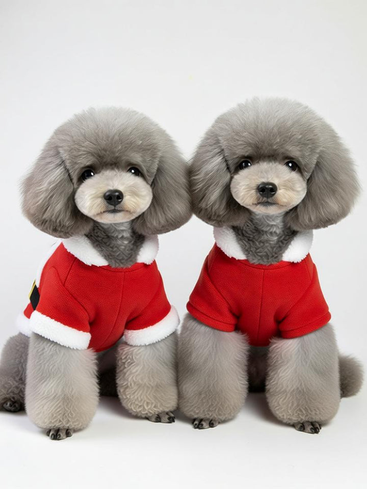 Enchanting Holiday Cloak for Pets – Cozy Christmas Red Shawl with Festive Pompoms and Reindeer Antlers