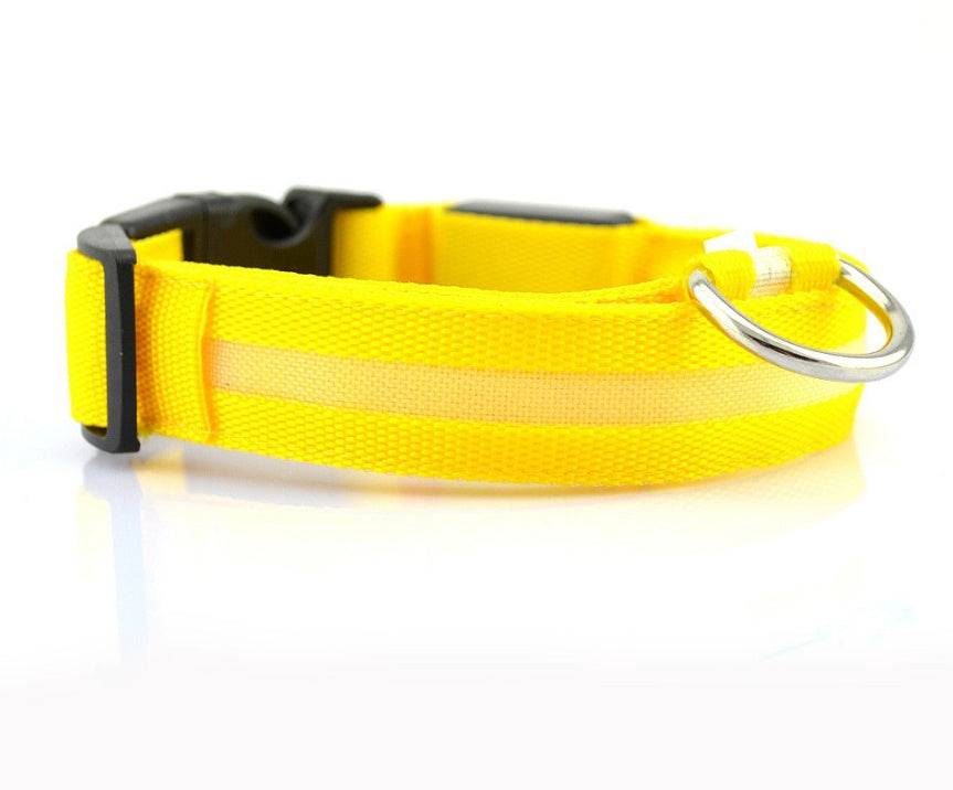 USB Rechargeable LED Pet Collar – Keep Your Pet Safe and Stylish at Night! - All Inclusive Family Treasures