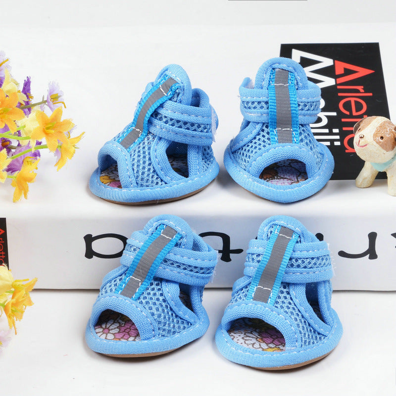 Bright and Breezy: Perfect Shoes for Furry Paws! - All Inclusive Family Treasures