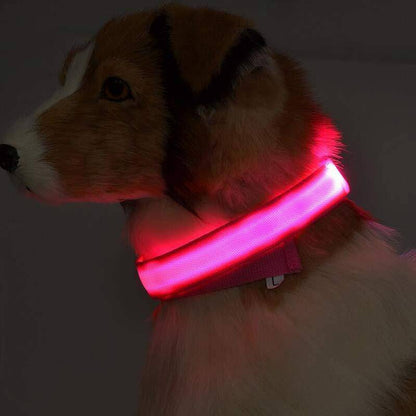 USB Rechargeable LED Pet Collar – Keep Your Pet Safe and Stylish at Night! - All Inclusive Family Treasures