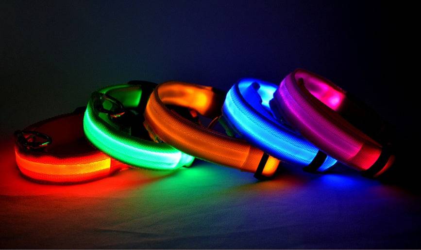 USB Rechargeable LED Pet Collar – Keep Your Pet Safe and Stylish at Night! - All Inclusive Family Treasures