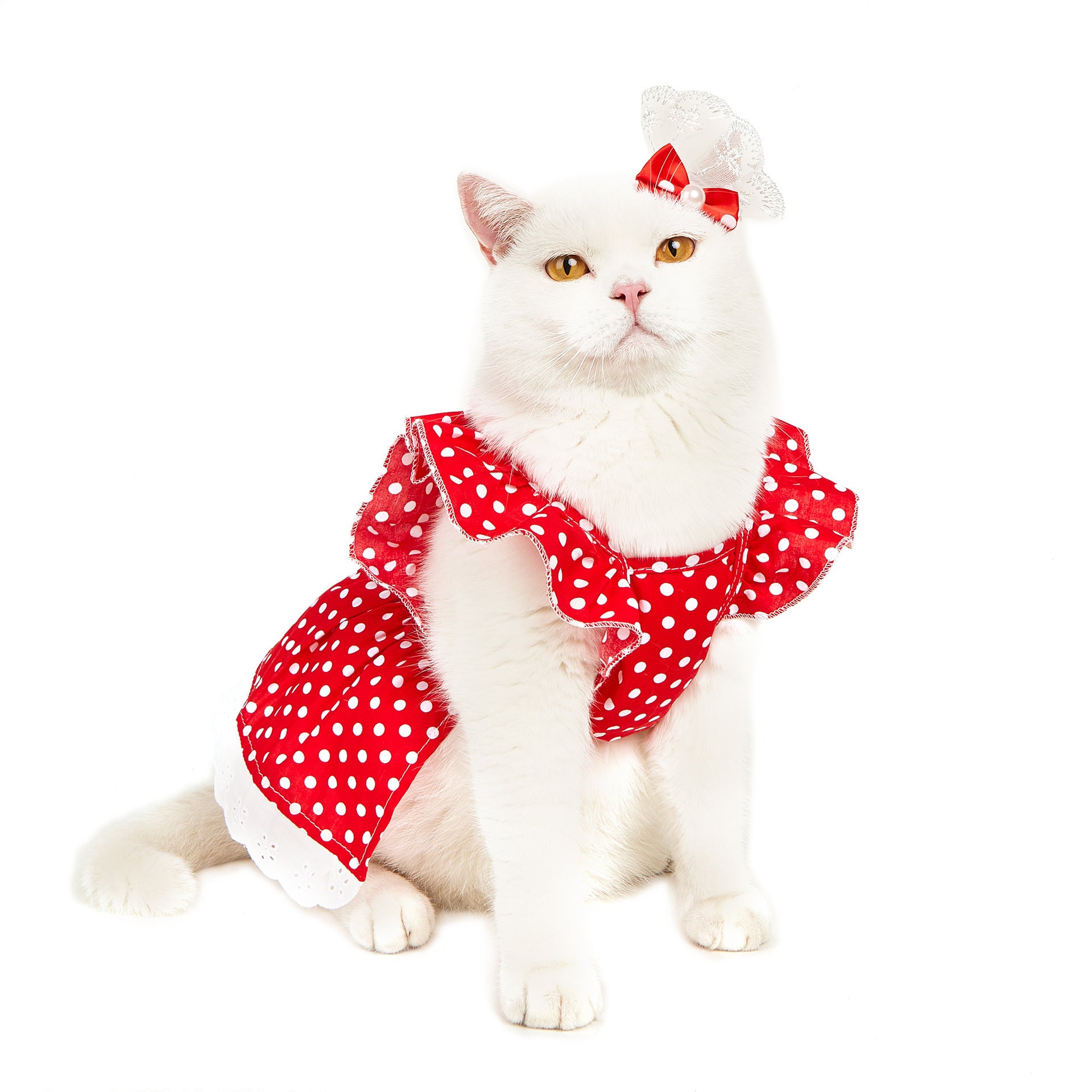 Polka Dot Princess Dress for Cats and Dogs - All Inclusive Family Treasures