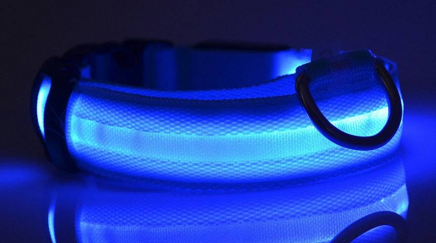 USB Rechargeable LED Pet Collar – Keep Your Pet Safe and Stylish at Night! - All Inclusive Family Treasures