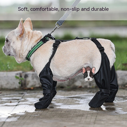 Keep Those Paws Dry and Protected in Style! - All Inclusive Family Treasures