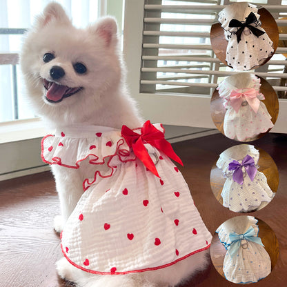 A Dress Fit for Paws and Applause! - All Inclusive Family Treasures