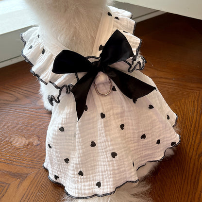 A Dress Fit for Paws and Applause! - All Inclusive Family Treasures