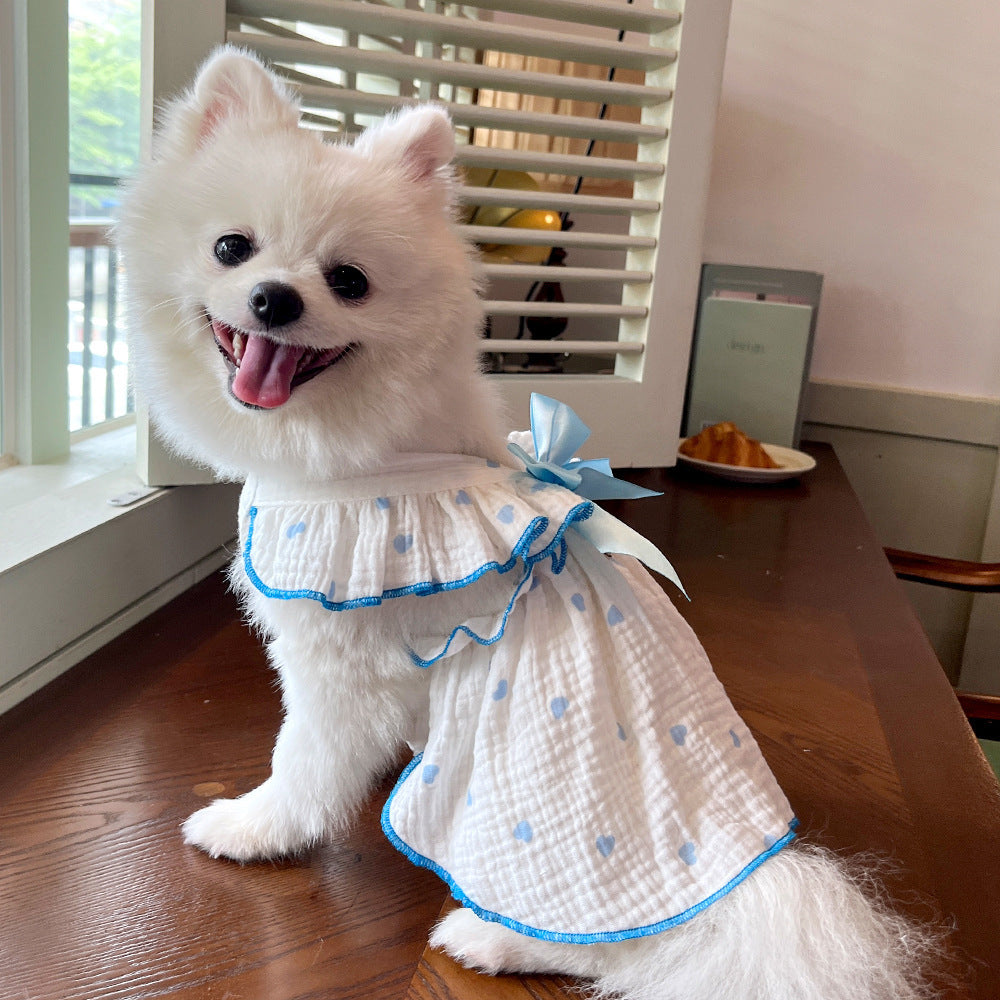 A Dress Fit for Paws and Applause! - All Inclusive Family Treasures