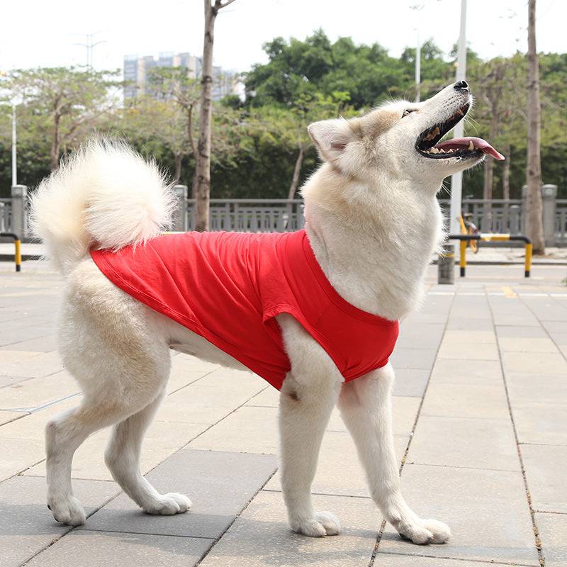 The Perfect Summer Dog Vest – Lightweight Style for Your Furry Friend - All Inclusive Family Treasures