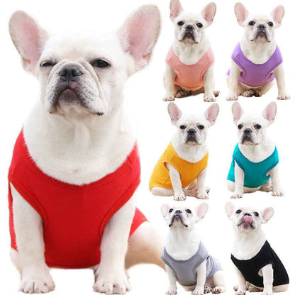 The Perfect Summer Dog Vest – Lightweight Style for Your Furry Friend - All Inclusive Family Treasures