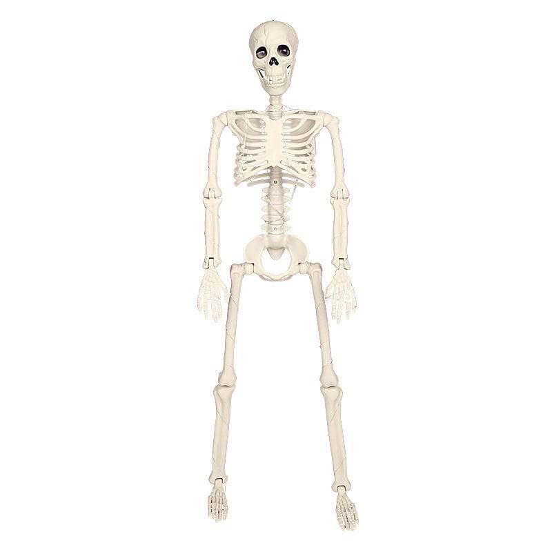 Glow-in-the-Dark Stand-able Hanging Skeleton – The Ultimate 90cm Halloween Décor with Warm Lights - All Inclusive Family Treasures