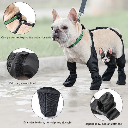 Keep Those Paws Dry and Protected in Style! - All Inclusive Family Treasures