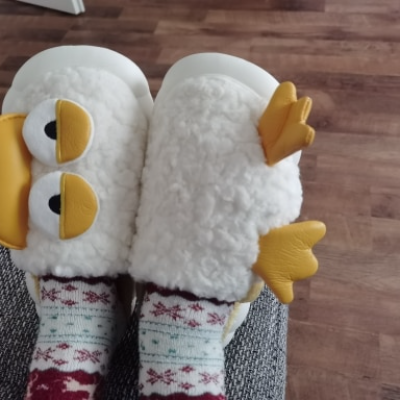 Cozy Duck Cartoon Slippers – Warm &amp; Fun for Every Step - All Inclusive Family Treasures