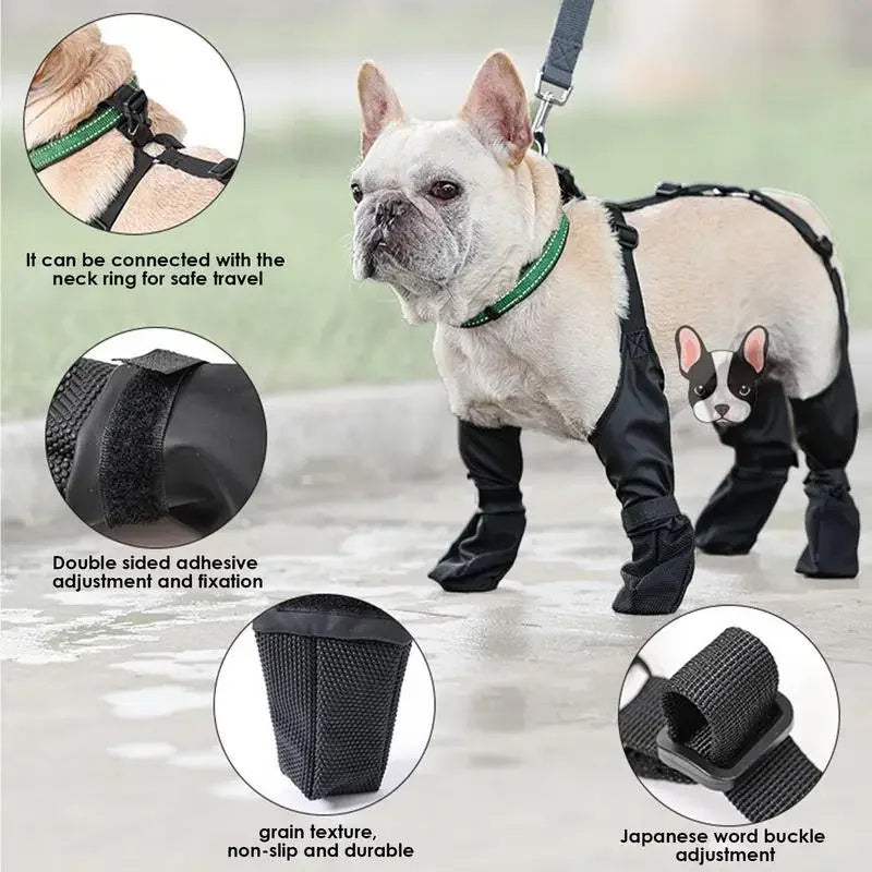 Keep Those Paws Dry and Protected in Style! - All Inclusive Family Treasures