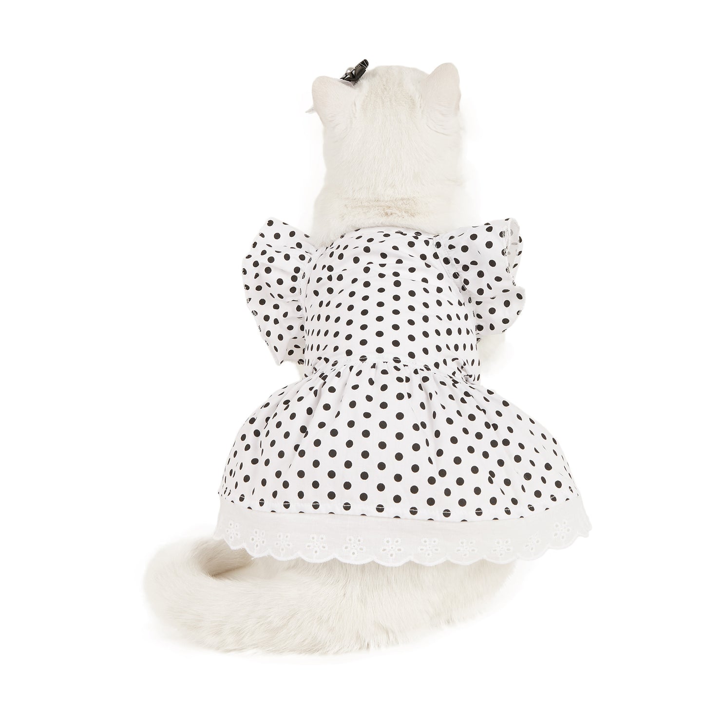 Polka Dot Princess Dress for Cats and Dogs - All Inclusive Family Treasures