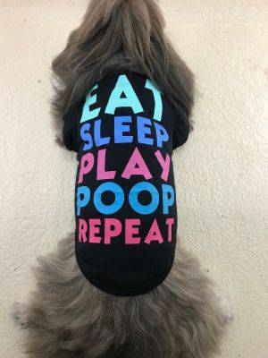 Eat, Sleep, Play, Poop, Repeat – Fun Pet Shirt for Dogs! - All Inclusive Family Treasures