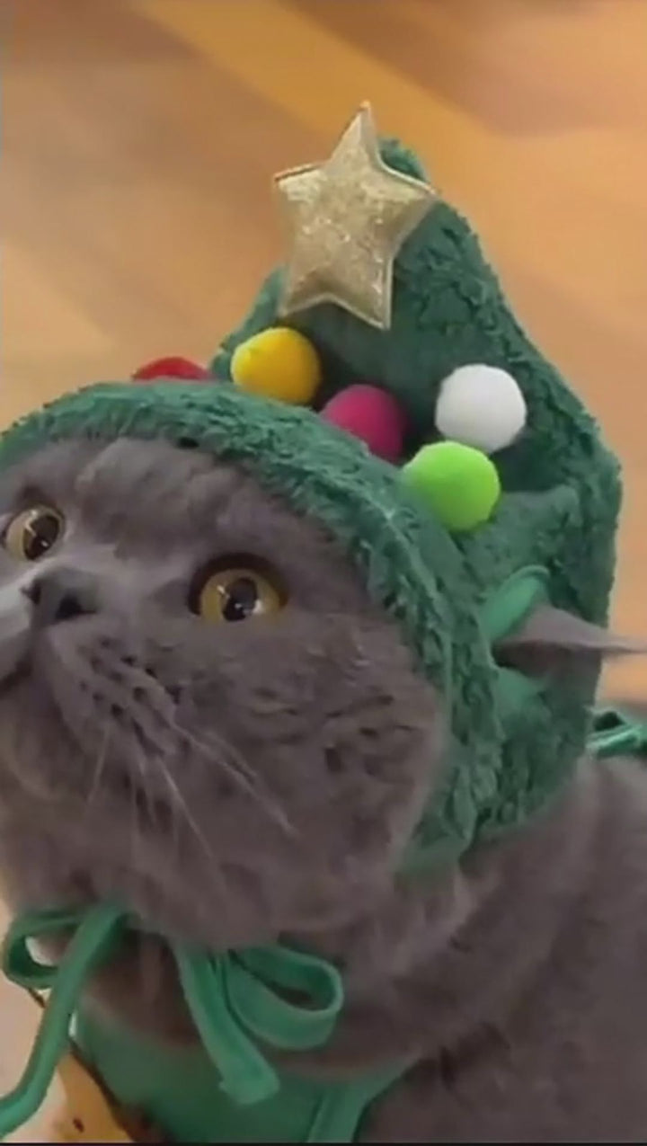 Adorable Christmas Tree Hat for Pets – Festive Holiday Dress-Up Accessory