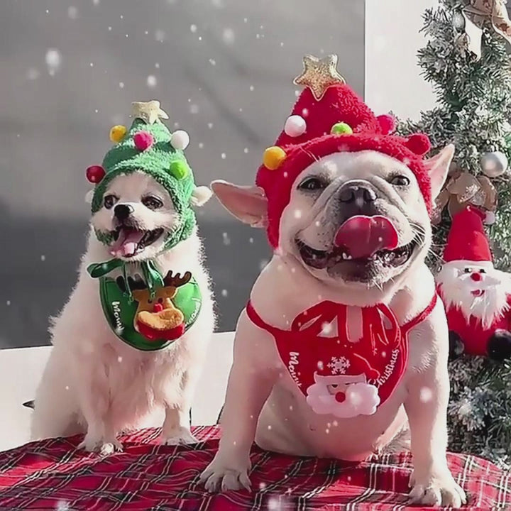 Adorable Christmas Tree Hat for Pets – Festive Holiday Dress-Up Accessory